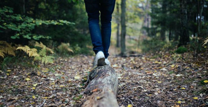 Person som balanserar på en trädstam på en stig i en skog. 