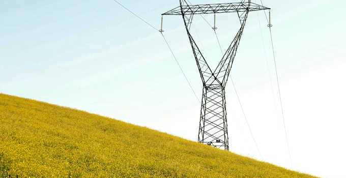 Kraftledning över rapsfält.