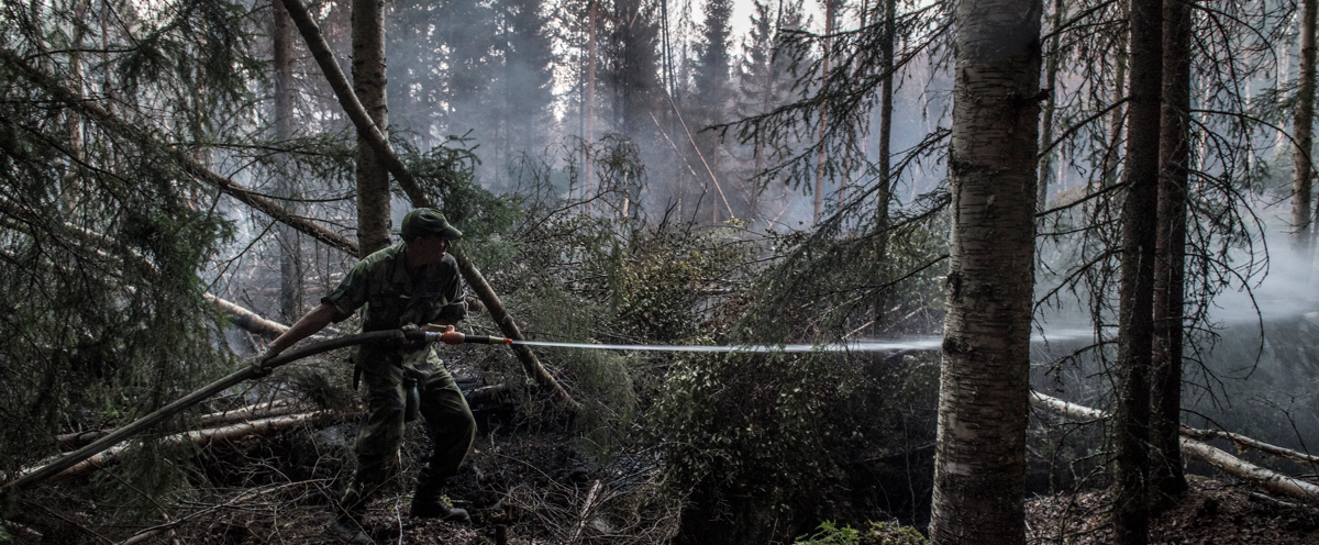 Släckning av skogsbrand.