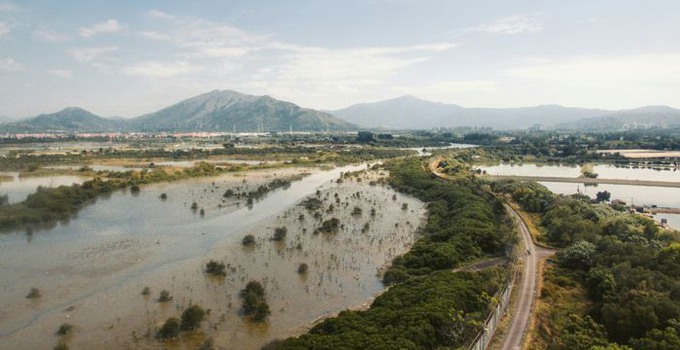 Flooded landscape.