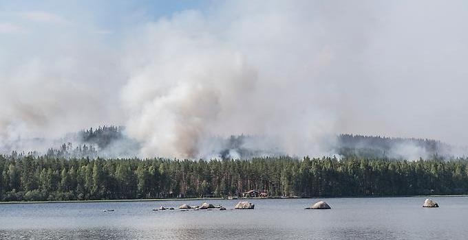 Bild på skogsbrand