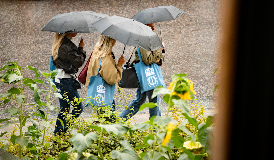 Students with umbrellas.