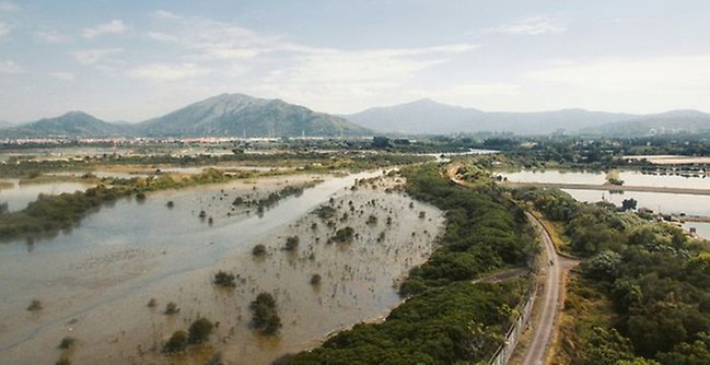 Flooded landscape.