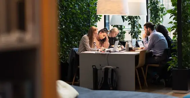 Students studying in the library.