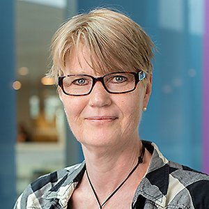 Profilbild för Birgitta Mattsson